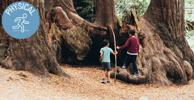 children walking in woods