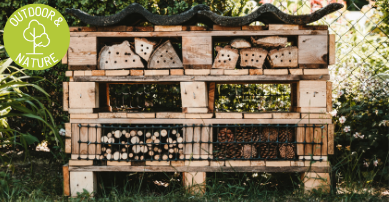 bug hotel