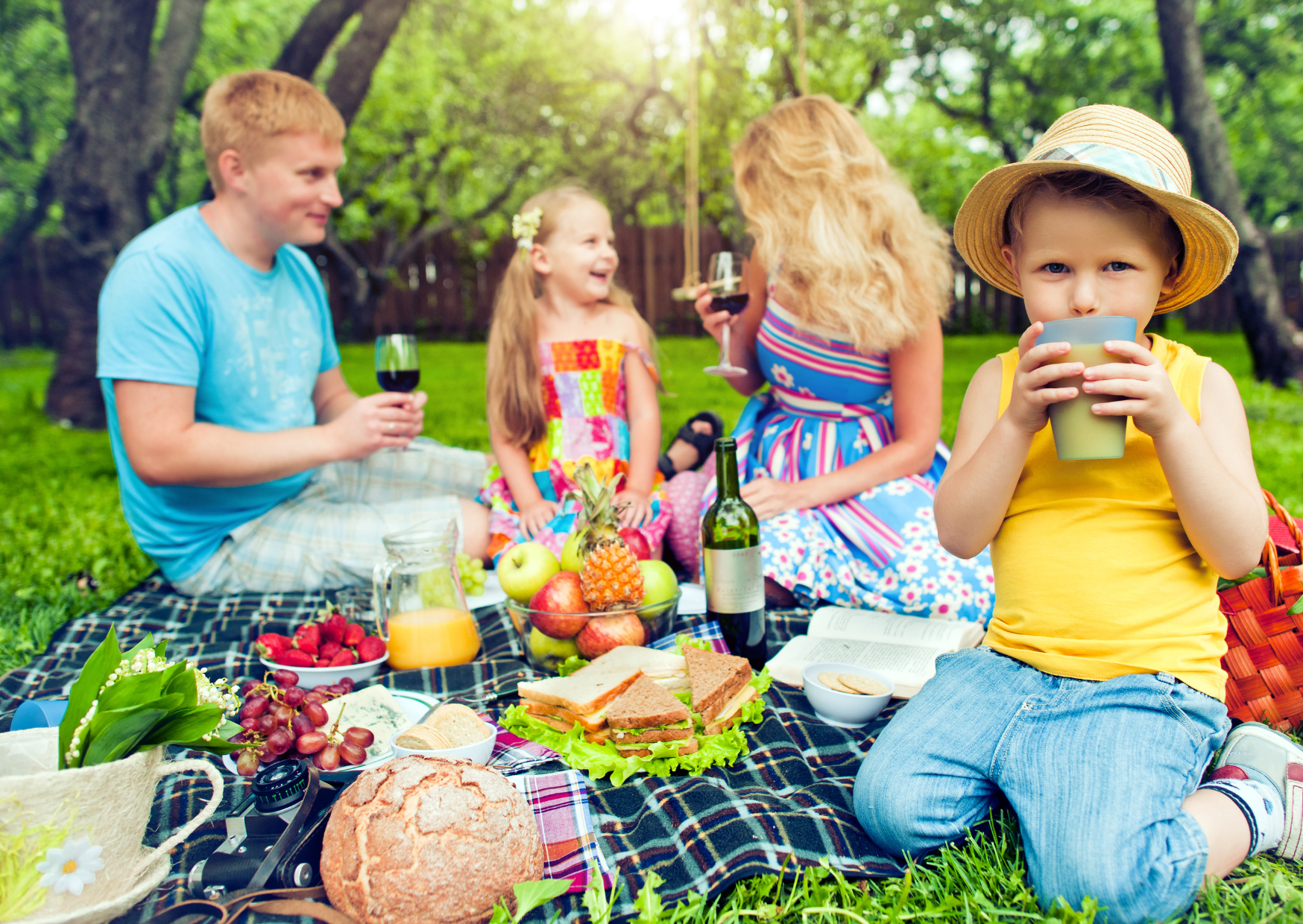 Family picnic