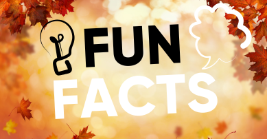 Fun facts about autumn