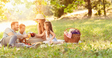 Family having a picnic