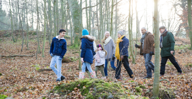 Family walking in the woods