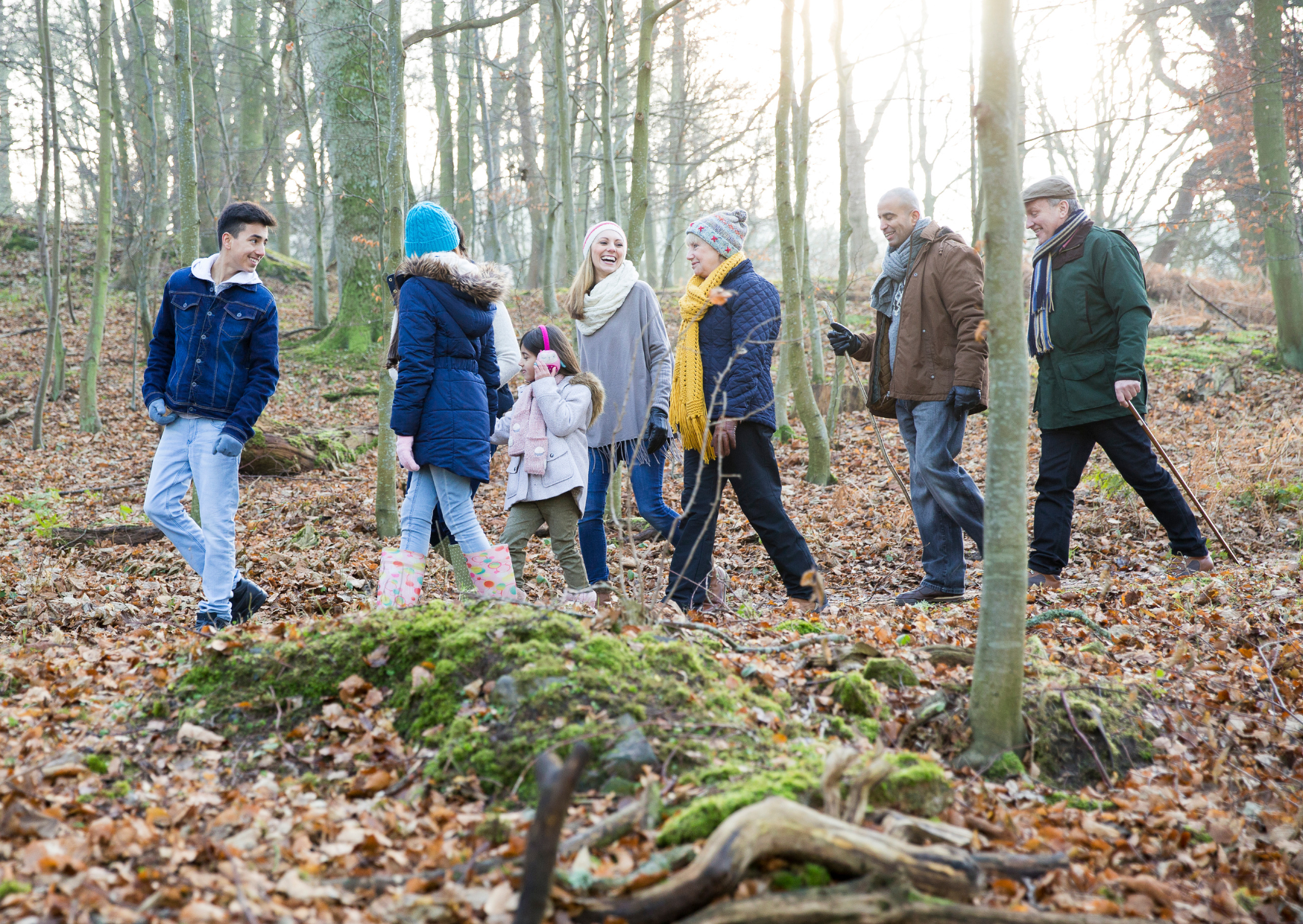 Family walking in the woods
