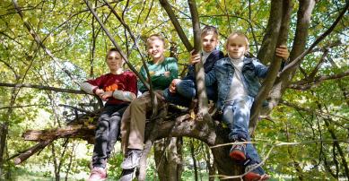 Children climbing trees