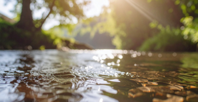Uk river in the sun