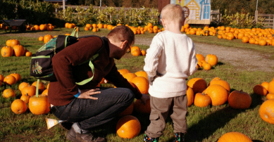 dad and son pumpkin picking