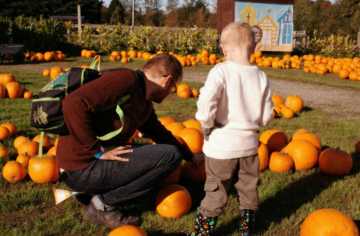 Dad and son pumpkin picking 