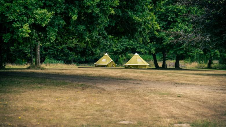 Survival Tents