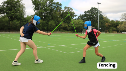 fencing